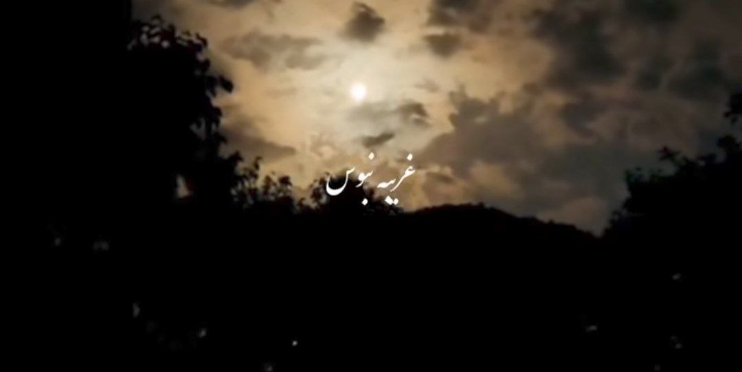  غریبه نبوس عشقمو نبوس غریبه نبود غریبه نبود